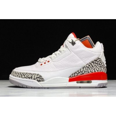 Nike Retro "Hall Of Fame" Muške Air Jordan 3 Bijele Sive Crvene | S6KLHRCM